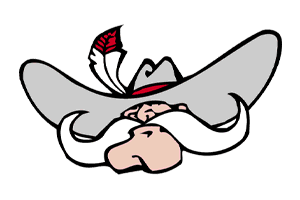 District Logo